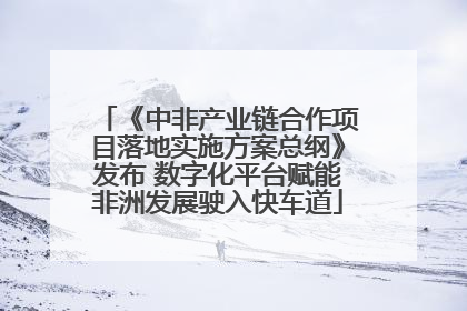 《中非产业链合作项目落地实施方案总纲》发布 数字化平台赋能非洲发展驶入快车道