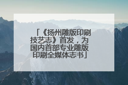 《扬州雕版印刷技艺志》首发，为国内首部专业雕版印刷全媒体志书