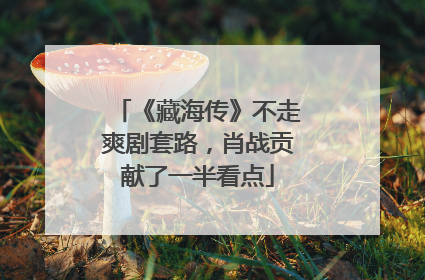 《藏海传》不走爽剧套路，肖战贡献了一半看点