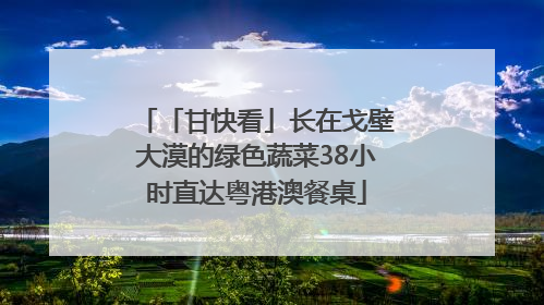 「甘快看」长在戈壁大漠的绿色蔬菜38小时直达粤港澳餐桌