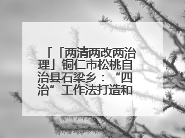 「两清两改两治理」铜仁市松桃自治县石梁乡：“四治”工作法打造和美新农村