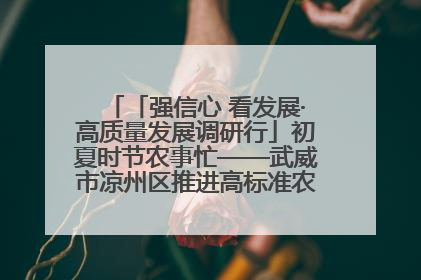 「强信心 看发展·高质量发展调研行」初夏时节农事忙——武威市凉州区推进高标准农田建设见闻