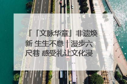 「文脉华章」非遗焕新 生生不息｜漫步六尺巷 感受礼让文化浸润的“巷”往生活