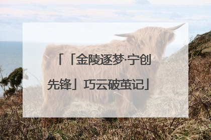 「金陵逐梦·宁创先锋」巧云破茧记