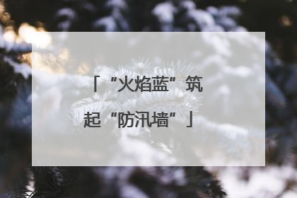 “火焰蓝”筑起“防汛墙”