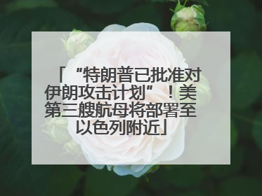 “特朗普已批准对伊朗攻击计划”！美第三艘航母将部署至以色列附近