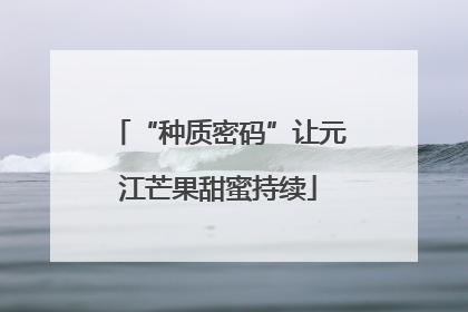 “种质密码”让元江芒果甜蜜持续