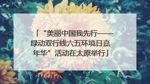 “美丽中国我先行——绿动双行线六五环境日嘉年华”活动在太原举行