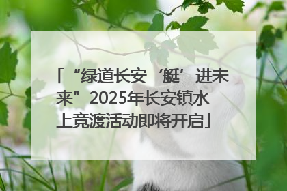 “绿道长安‘艇’进未来”2025年长安镇水上竞渡活动即将开启