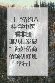 “侨约八桂·学中医 看非遗 谋八桂发展”海外侨商侨领研修班举行