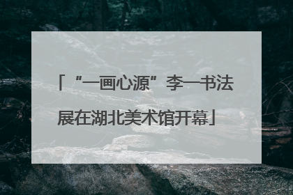 “一画心源”李一书法展在湖北美术馆开幕
