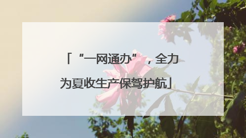 “一网通办”，全力为夏收生产保驾护航