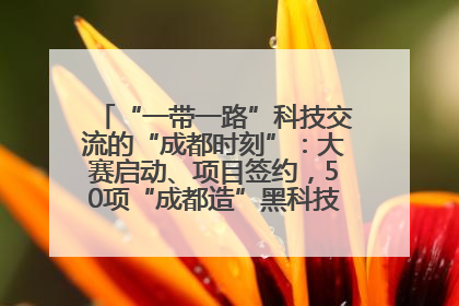 “一带一路”科技交流的“成都时刻”：大赛启动、项目签约，50项“成都造”黑科技吸引多国客商