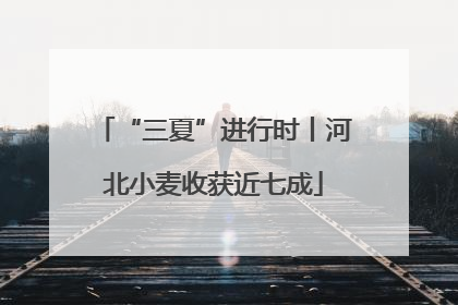 “三夏”进行时丨河北小麦收获近七成