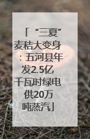 “三夏”麦秸大变身：五河县年发2.5亿千瓦时绿电 供20万吨蒸汽