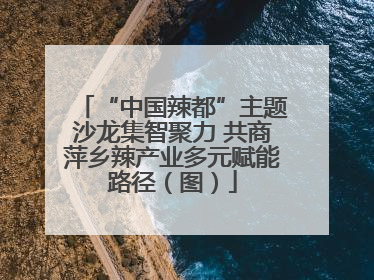 “中国辣都”主题沙龙集智聚力 共商萍乡辣产业多元赋能路径（图）