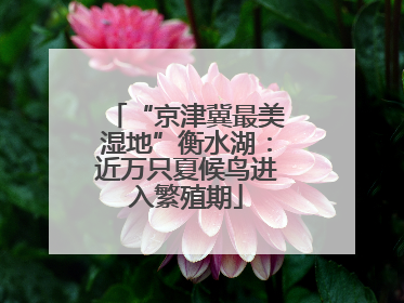 “京津冀最美湿地”衡水湖：近万只夏候鸟进入繁殖期