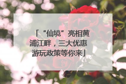 “仙境”亮相黄浦江畔，三大优惠游玩政策等你来