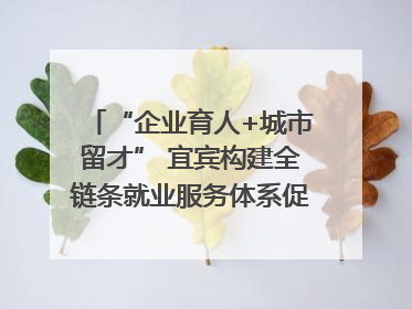 “企业育人+城市留才” 宜宾构建全链条就业服务体系促高校毕业生就业｜您牵挂的四川