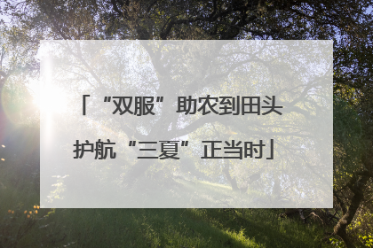 “双服”助农到田头 护航“三夏”正当时
