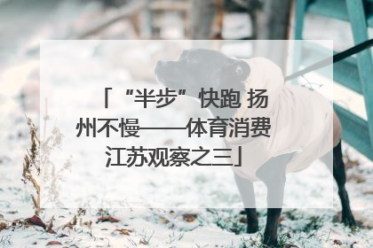 “半步”快跑 扬州不慢——体育消费江苏观察之三