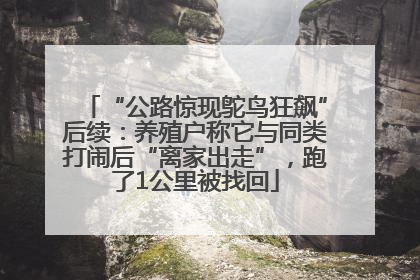 “公路惊现鸵鸟狂飙”后续：养殖户称它与同类打闹后“离家出走”，跑了1公里被找回
