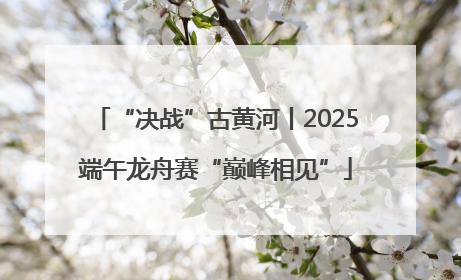 “决战”古黄河丨2025端午龙舟赛“巅峰相见”