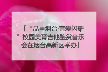 “品重烟台·音爱闪耀”校园美育吉他鉴赏音乐会在烟台高新区举办