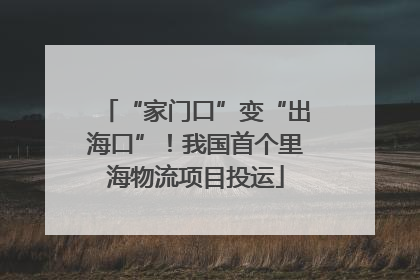 “家门口”变“出海口”！我国首个里海物流项目投运