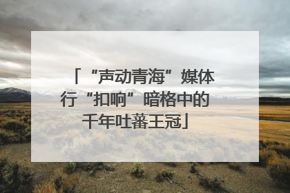 “声动青海”媒体行“扣响”暗格中的千年吐蕃王冠
