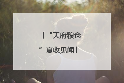 “天府粮仓”夏收见闻