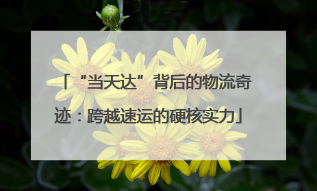 “当天达”背后的物流奇迹：跨越速运的硬核实力