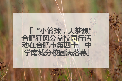“小篮球，大梦想”合肥狂风公益校园行活动在合肥市第四十二中学南城分校圆满落幕