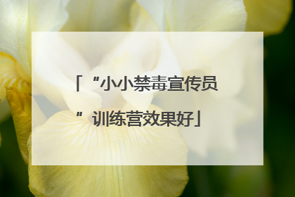 “小小禁毒宣传员”训练营效果好