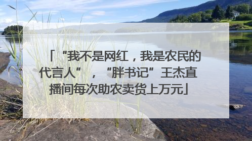“我不是网红，我是农民的代言人”，“胖书记”王杰直播间每次助农卖货上万元