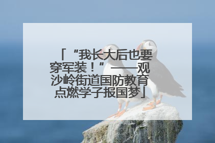 “我长大后也要穿军装！”——观沙岭街道国防教育点燃学子报国梦