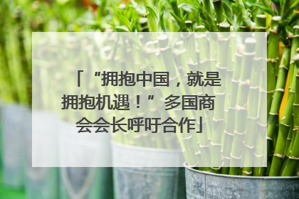 “拥抱中国，就是拥抱机遇！”多国商会会长呼吁合作