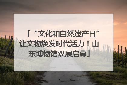 “文化和自然遗产日”让文物焕发时代活力！山东博物馆双展启幕