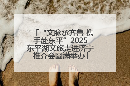 “文脉承齐鲁 携手赴东平”2025东平湖文旅走进济宁推介会圆满举办