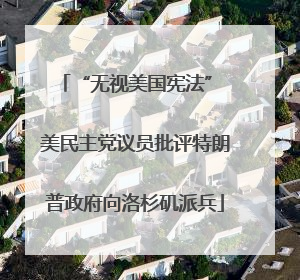 “无视美国宪法” 美民主党议员批评特朗普政府向洛杉矶派兵