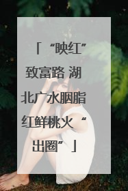 “映红”致富路 湖北广水胭脂红鲜桃火“出圈”