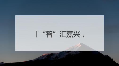 “智”汇嘉兴，“创”联两岸！一场跨越海峡的智慧盛宴开启