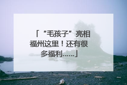 “毛孩子”亮相福州这里！还有很多福利……
