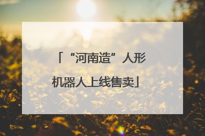“河南造”人形机器人上线售卖