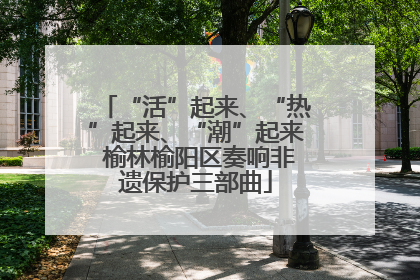 “活”起来、“热”起来、“潮”起来 榆林榆阳区奏响非遗保护三部曲
