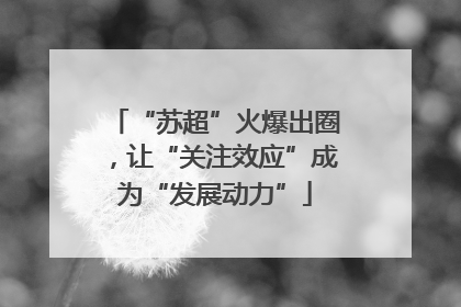“苏超”火爆出圈，让“关注效应”成为“发展动力”