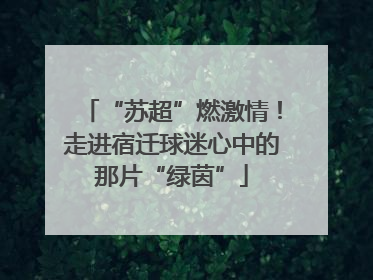 “苏超”燃激情！走进宿迁球迷心中的那片“绿茵”