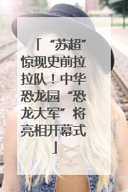 “苏超”惊现史前拉拉队！中华恐龙园“恐龙大军”将亮相开幕式