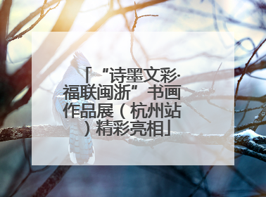 “诗墨文彩·福联闽浙”书画作品展（杭州站）精彩亮相