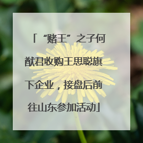 “赌王”之子何猷君收购王思聪旗下企业，接盘后前往山东参加活动